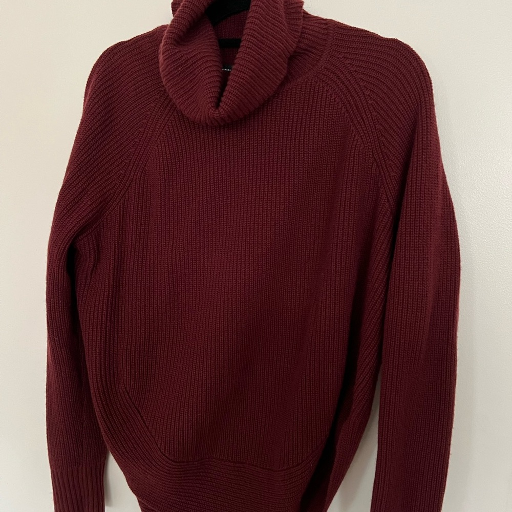 Turtleneck Sweater (Universal Standard S=size 14/16)